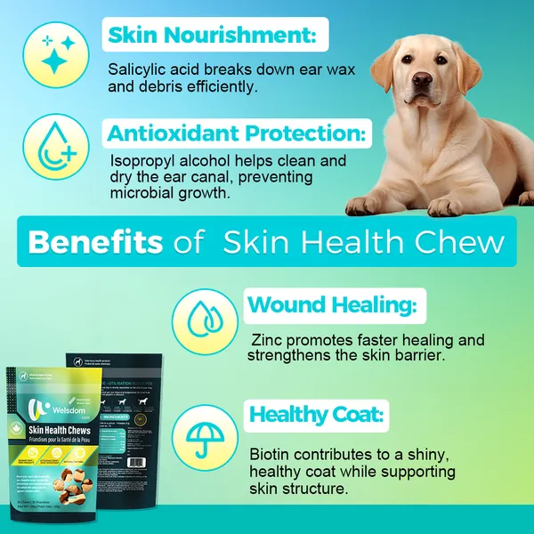 Skin Health and Coat Chew Supplements for Dogs