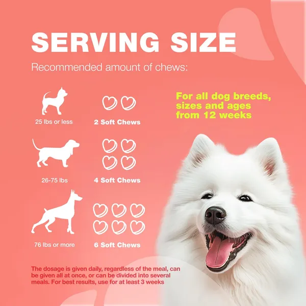 Flea and Tick Medications and Immune Support