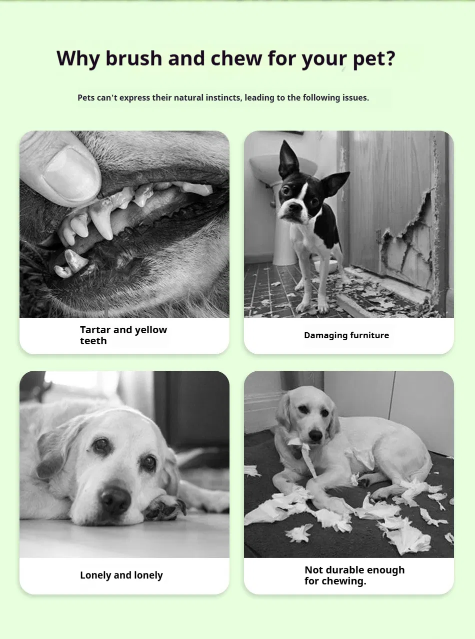 Pet Chew & Clean Buddy Dental Toy