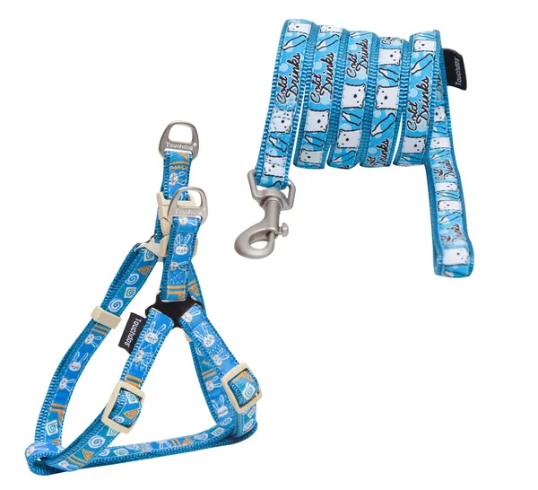 Embroidered Leash And Harness Dog Walking Set