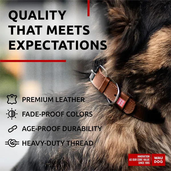 Leather Flat Dog Collar