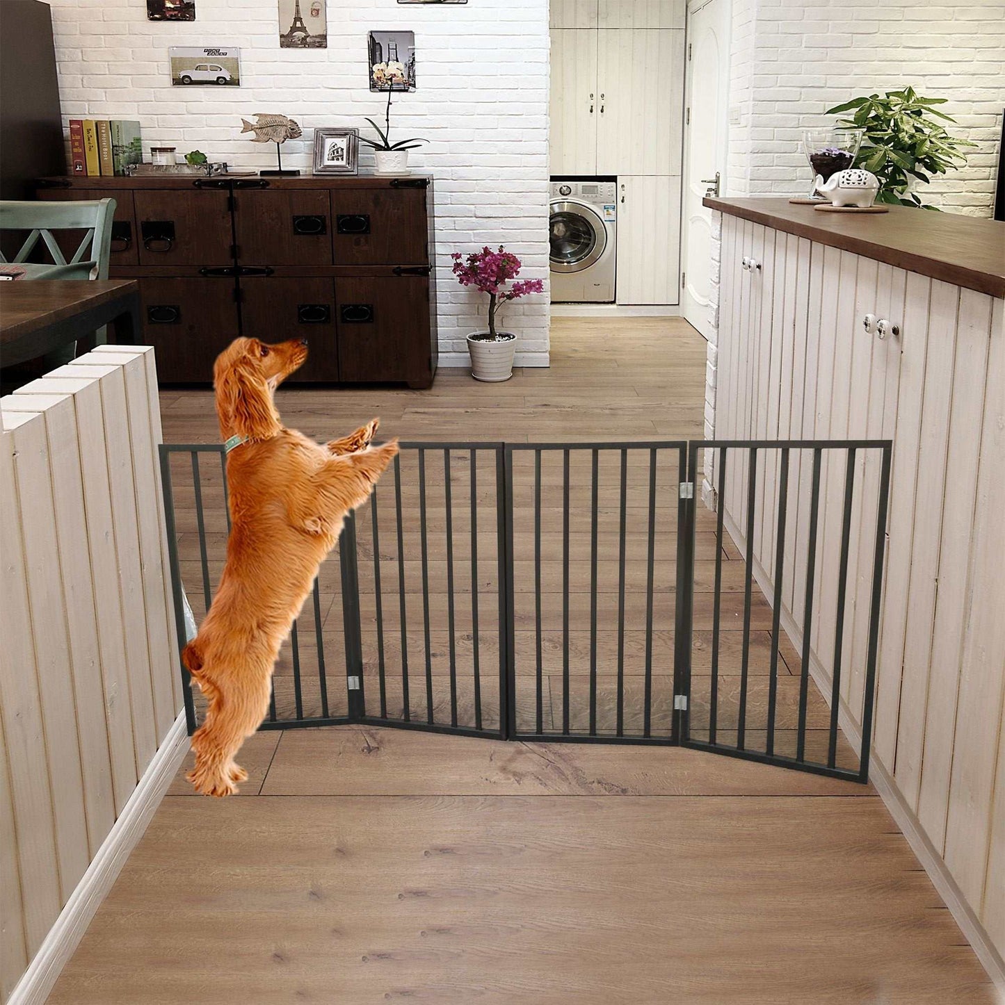 72" x 24" Freestanding Dog Gates - Brown