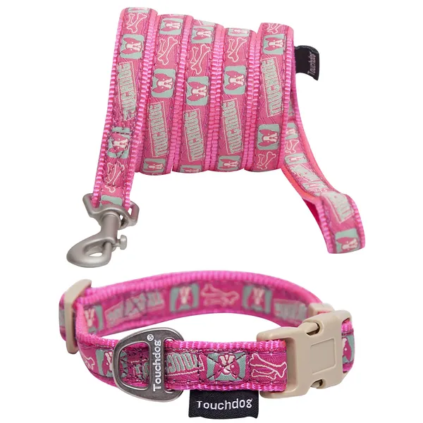 Embroidered Designer Dog Walking Set
