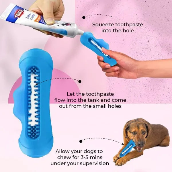 Squeaky Monster Dental Toy