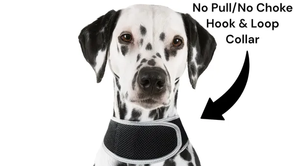 Lightweight dog GPS tracking harness displaying size options and features for pet comfort and real-time tracking.