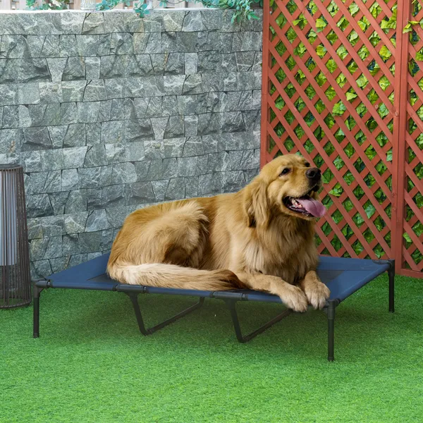 Framed Elevated Folding Dog Bed