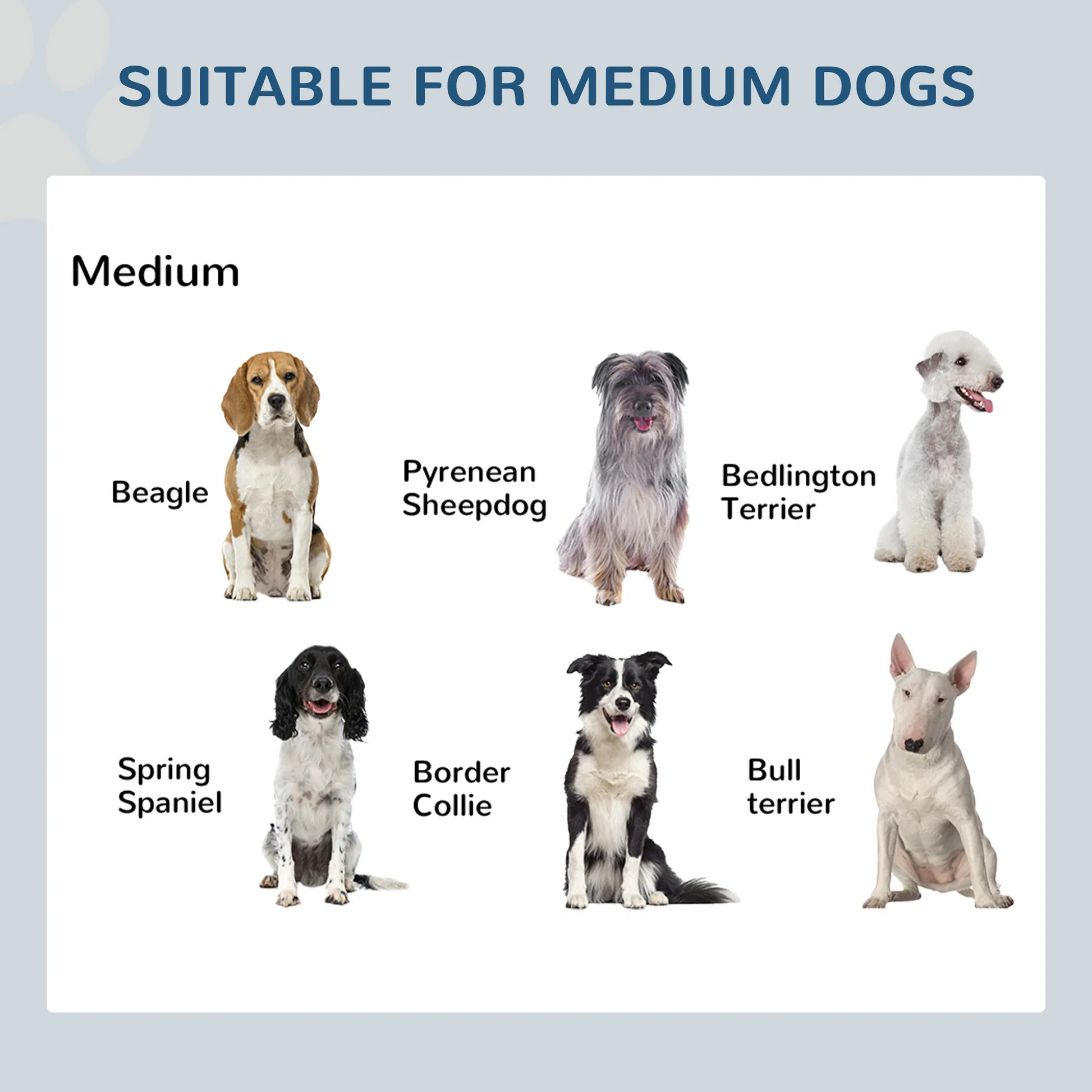 17-inch heavy duty elevated dog bowls with stainless steel inserts and non-slip metal base for improved pet digestion and durability