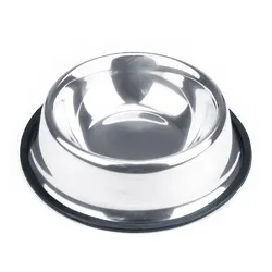 Stainless Steel Dog Food Bowl