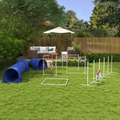 Agility Dog Course Set