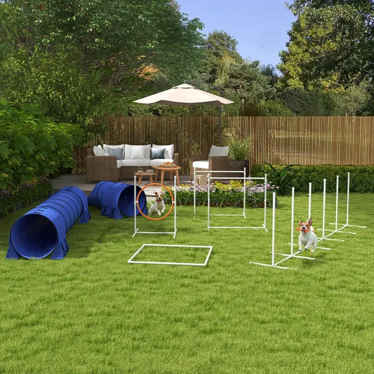 Agility Dog Course Set