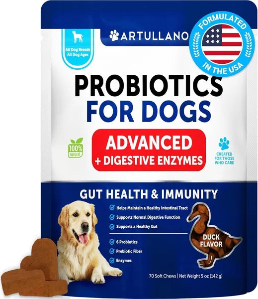 Probiotic Supplements for Dogs
