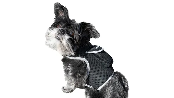 Lightweight dog GPS tracking harness with adjustable mesh for all sizes, showing real-time tracking on smartphone and computer.