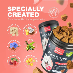 Flea and Tick Medications and Immune Support