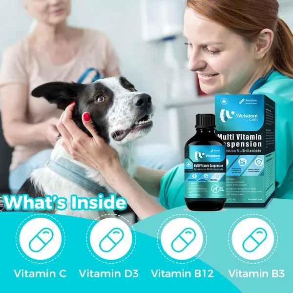Multi-Vitamin and Immune Boost Supplement for Dogs