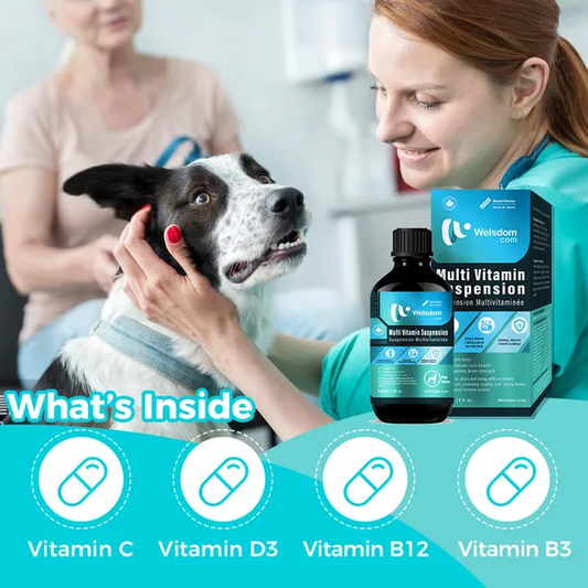 Multi-Vitamin and Immune Boost Supplement for Dogs