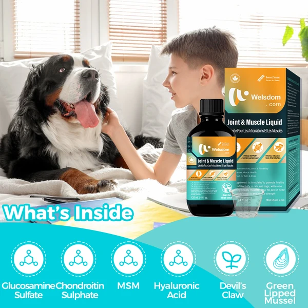 Joint and Muscle Supplements for Dogs