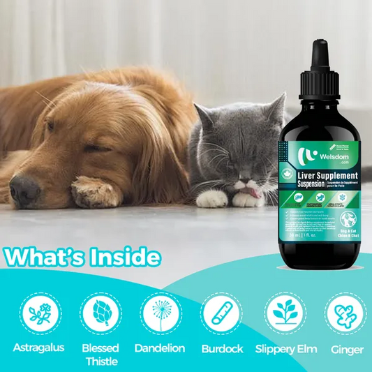 Natural Detox and Liver Supplements for Dogs