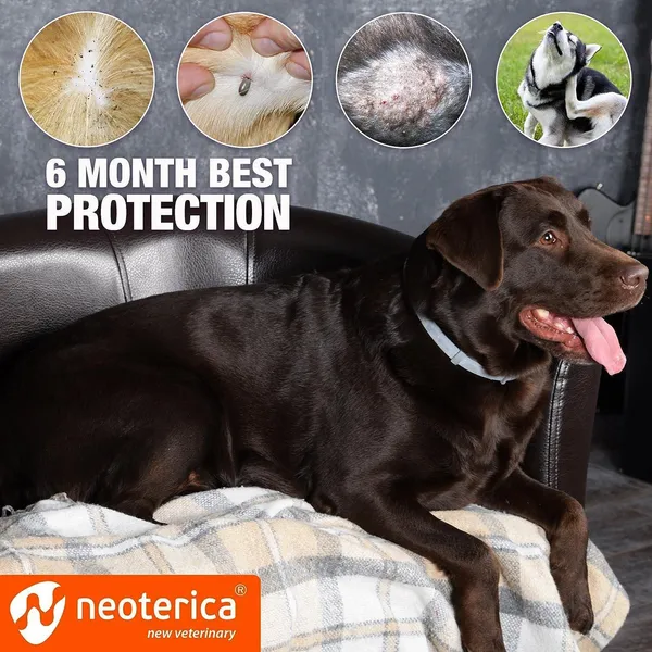 Natural Flea and Tick Collars