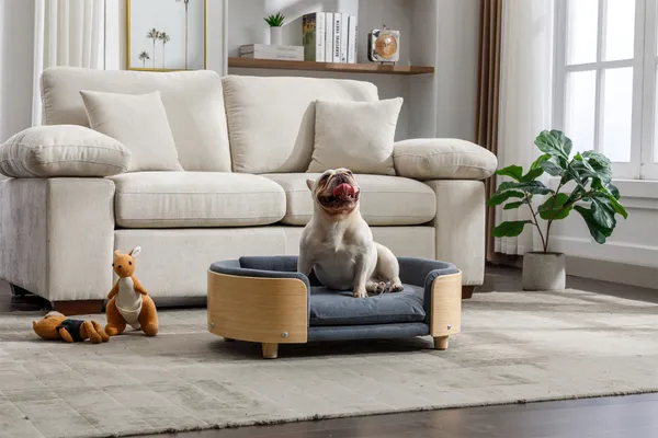 Scandinavian Style Sofa Dog Bed