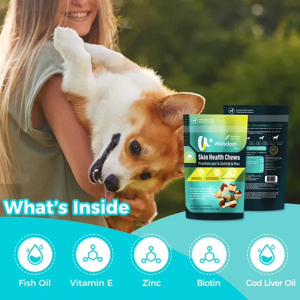 Skin Health and Coat Chew Supplements for Dogs