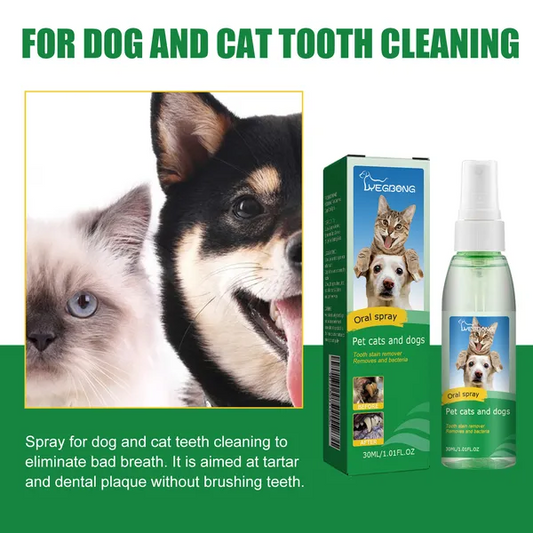 Dental Care for Dogs Tooth Deodorizer Spray