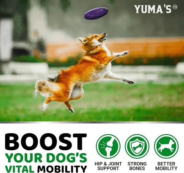 2 pack dog joint pain relief mobility aids with glucosamine and chondroitin supplements for healthy hips and joints