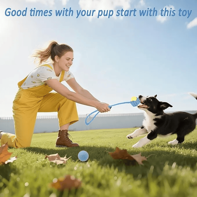 20 Pack Dog Chew Toys set for puppies with varied textures and shapes promoting dental health
