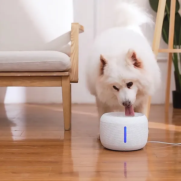 2.5L white pet water fountain with 7 replaceable filters and USB power cord