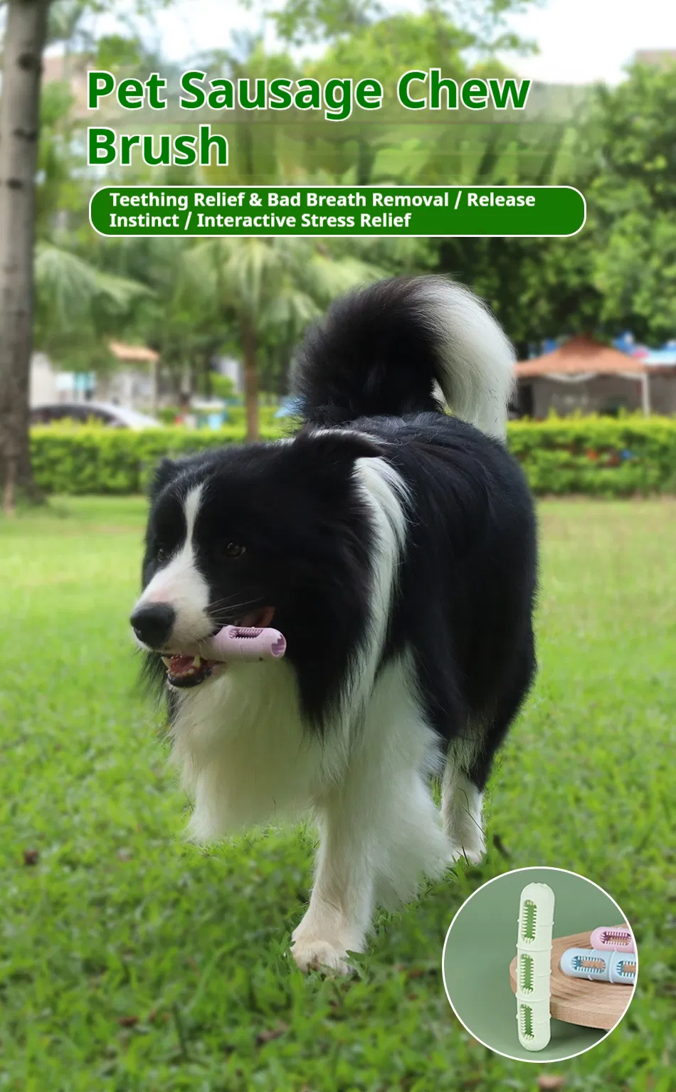 Pet Chew & Clean Buddy Dental Toy