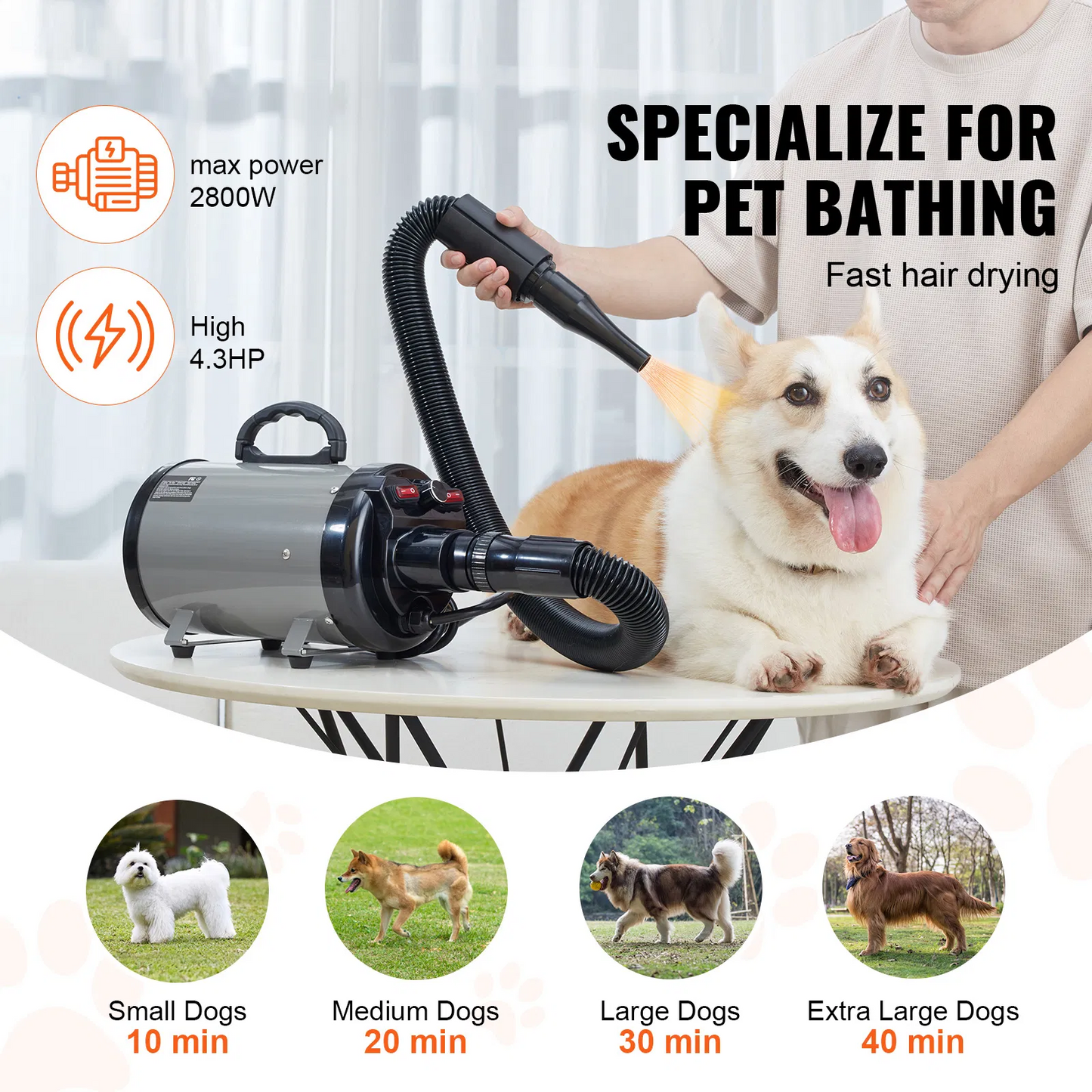 Hair Dryers for Dogs with 4 Nozzles