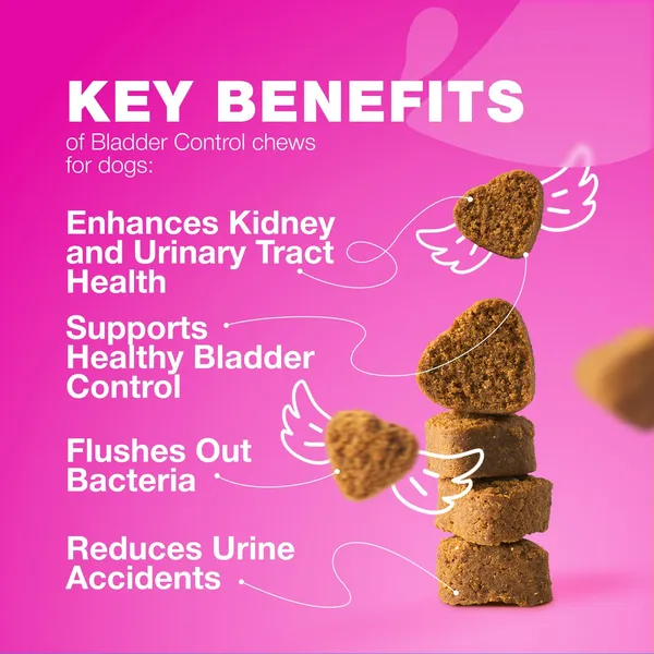 Cranberry supplement bladder control chews for dogs supporting urinary tract and kidney health
