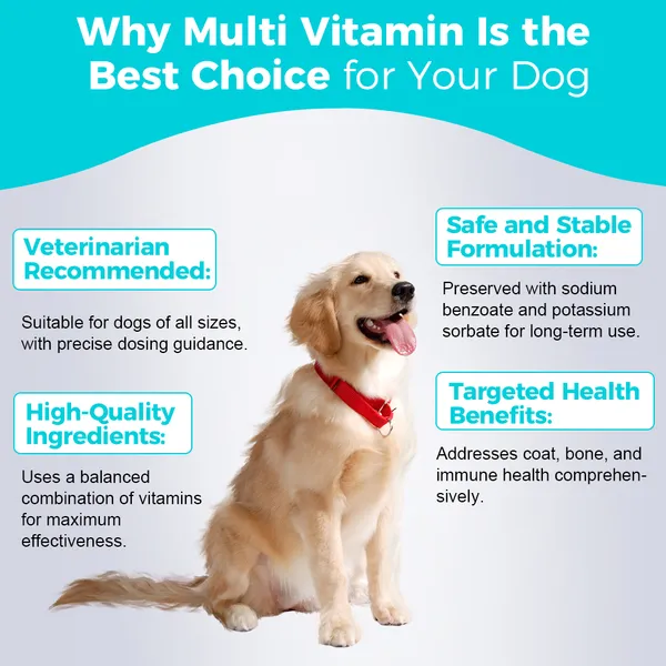 Multi-Vitamin and Immune Boost Supplement for Dogs