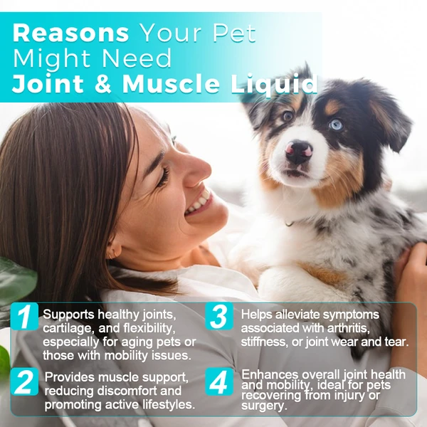 Joint and Muscle Supplements for Dogs