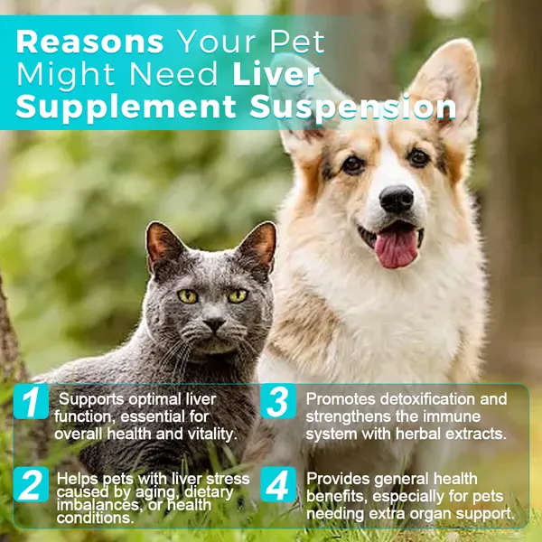 Natural Detox and Liver Supplements for Dogs