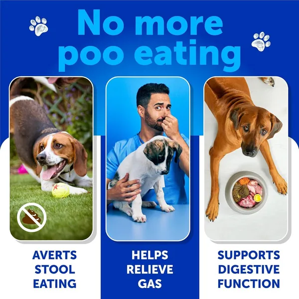 No Poo Chews Supplements for Dogs
