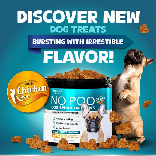 No Poo Chew Digestive and Gut Health Supplements for Dogs