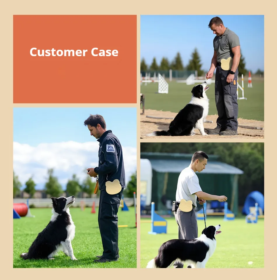 Training Treat Pouch with Hanging Buckle