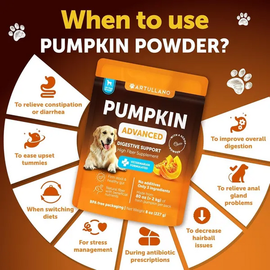Pumpkin Powder Digestive Supplements for Dogs