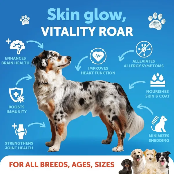 Salmon Oil Omega 3 Supplements for Dogs