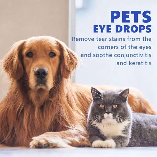 Eye Cleaning Care for Dogs