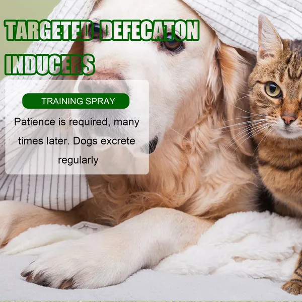 Defecation and Toilet Inducer Supplements for Dogs