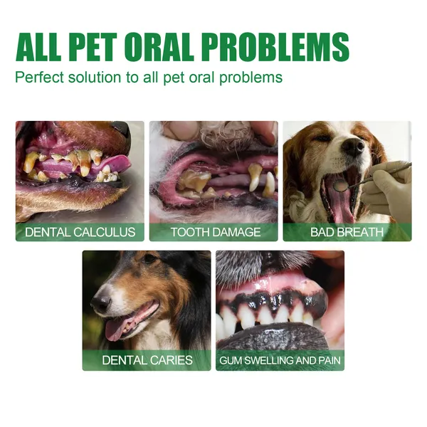 Dental Care for Dogs Tooth Deodorizer Spray