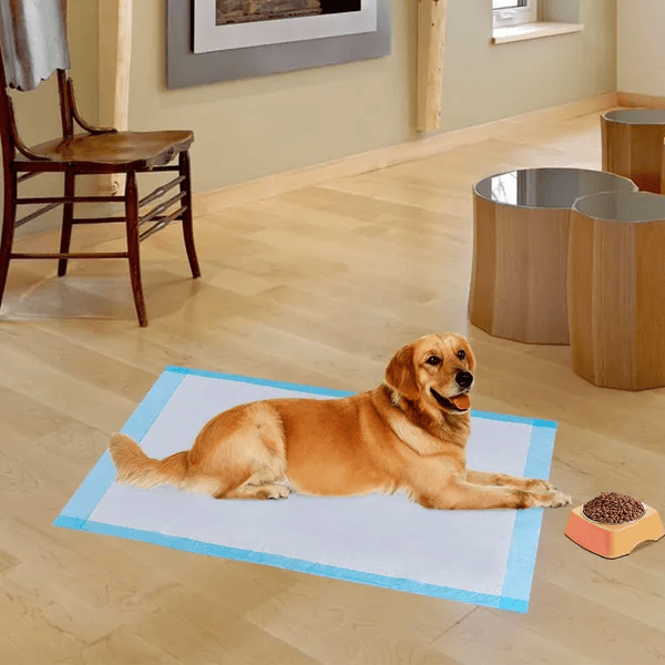 300x disposable dog pee pads for puppy training with absorbent, leak-proof layers and soft non-woven fabric surface