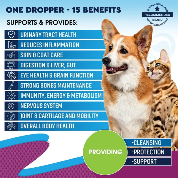 Liquid Vitamins for Dogs  60 ml
