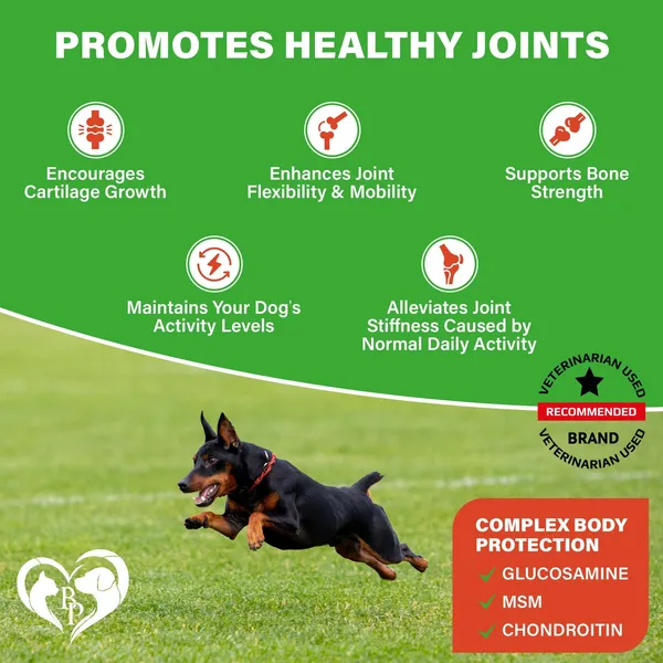 Dog hip and joint supplements bottle with dog treats for joint pain relief and cartilage support