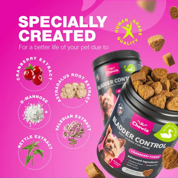 Cranberry supplement bladder control chews for dogs supporting urinary tract and kidney health