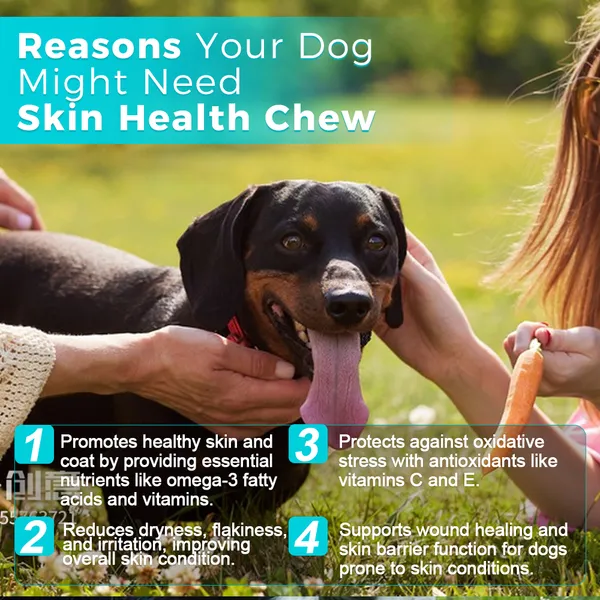 Skin Health and Coat Chew Supplements for Dogs