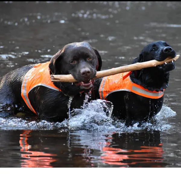 Bright orange reflective dog life jacket for outdoor safety and visibility