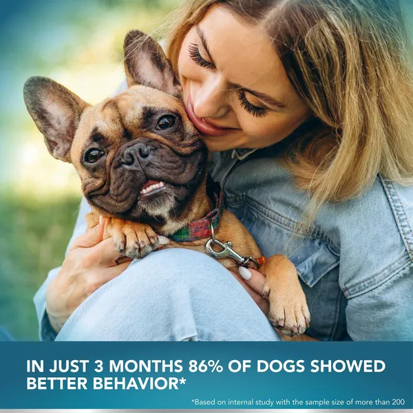 No Poo Chew Digestive and Gut Health Supplements for Dogs