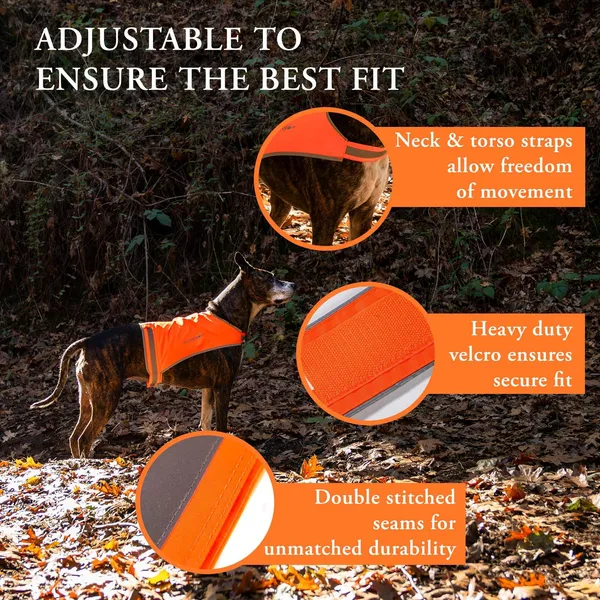 Bright orange reflective dog life jacket for outdoor safety and visibility